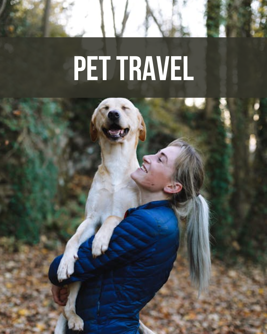 PET TRAVEL